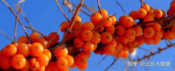 补硒与牛皮癣的治疗(新硒望科学补硒协会)-硒宝网