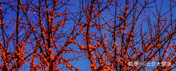 补硒与牛皮癣的治疗(新硒望科学补硒协会)-硒宝网