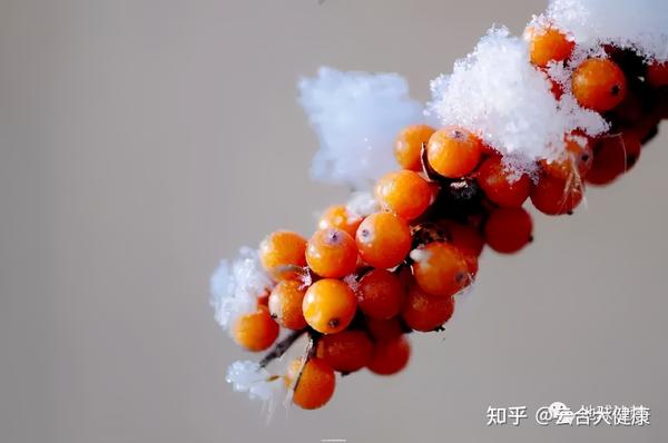 补硒与牛皮癣的治疗(新硒望科学补硒协会)-硒宝网