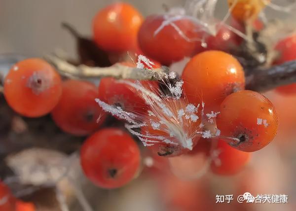 补硒与牛皮癣的治疗(新硒望科学补硒协会)-硒宝网