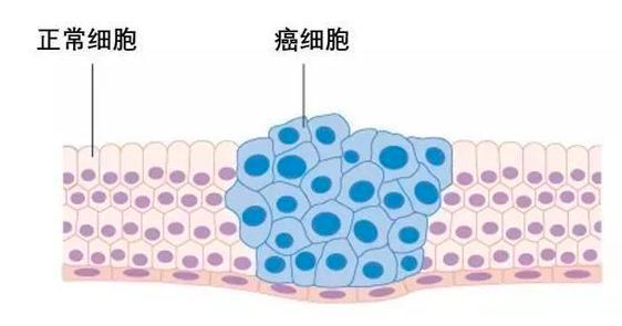 补硒对女人的重要性（女人补硒的保健品）-硒宝网