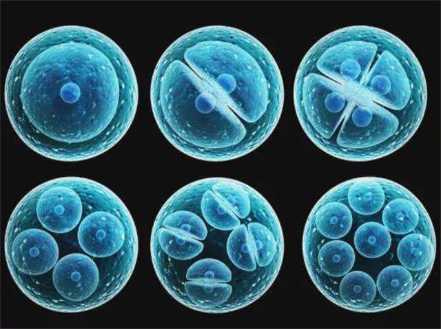 补硒对女人的重要性（女人补硒的保健品）-硒宝网