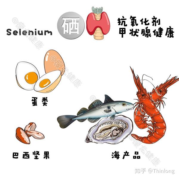 补硒和维生素e关系（硒与维生素e的关系是什么）-硒宝网