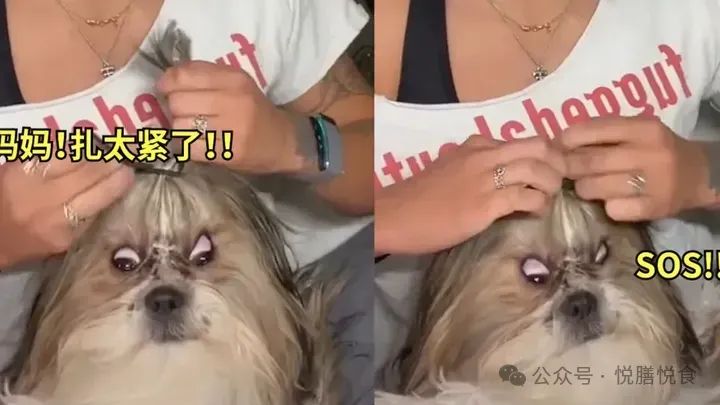 掉头发补硒有作用吗(脱发补硒)-硒宝网