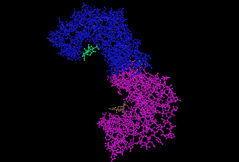 糖尿病患者如何补硒(糖尿病患者补硒有作用吗)-硒宝网