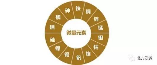 铅是微量元素吗(铅微量元素是什么)-硒宝网