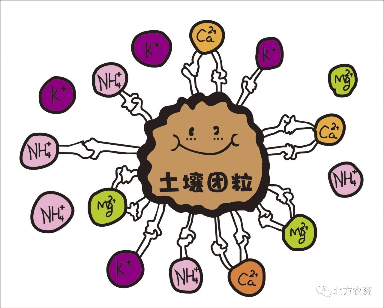 铅是微量元素吗(铅微量元素是什么)-硒宝网