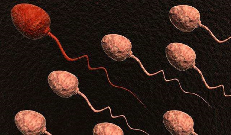 补硒对生殖器的作用（补硒对生殖器的作用）-硒宝网