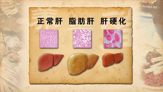 补硒对女人的重要性(女人多补硒对皮肤有好处吗)-硒宝网