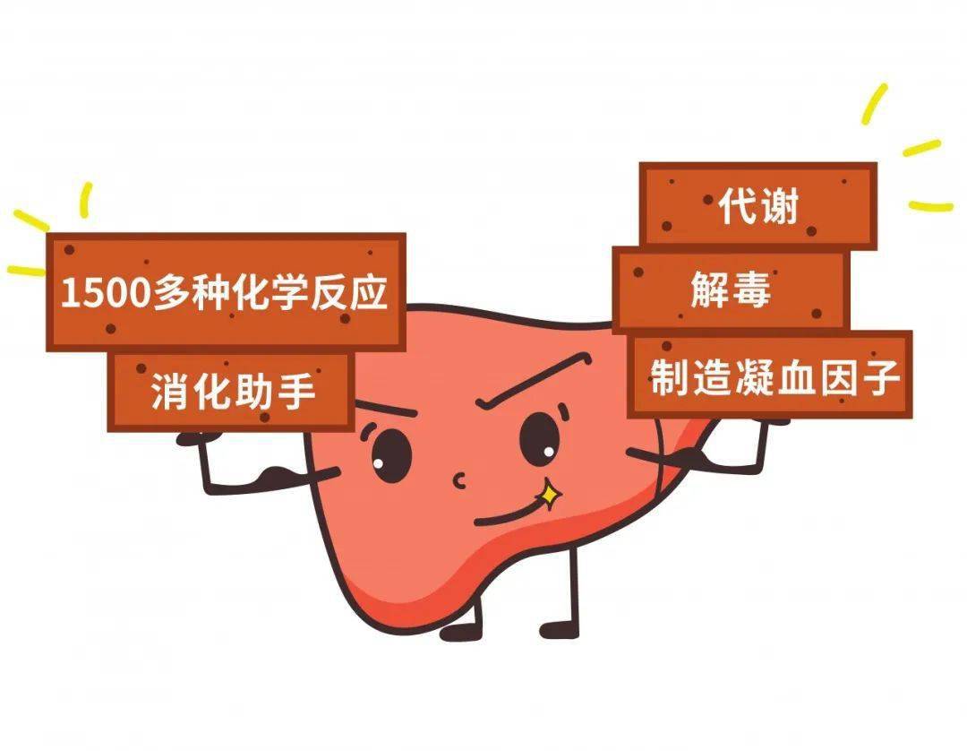 补硒对女人的重要性(女人多补硒对皮肤有好处吗)-硒宝网