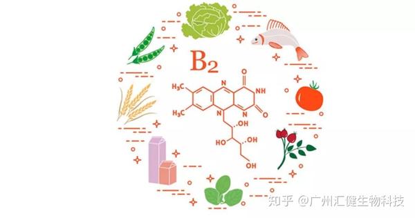 人体缺微量元素会出现什么症状(缺微量元素有什么反应)-硒宝网