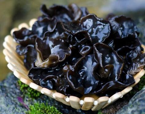 吃什么可以补微量元素(补充微量元素可以长高吗)-硒宝网