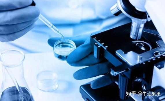 补硒与荨麻疹的关系(硒酵母对慢性荨麻疹)-硒宝网