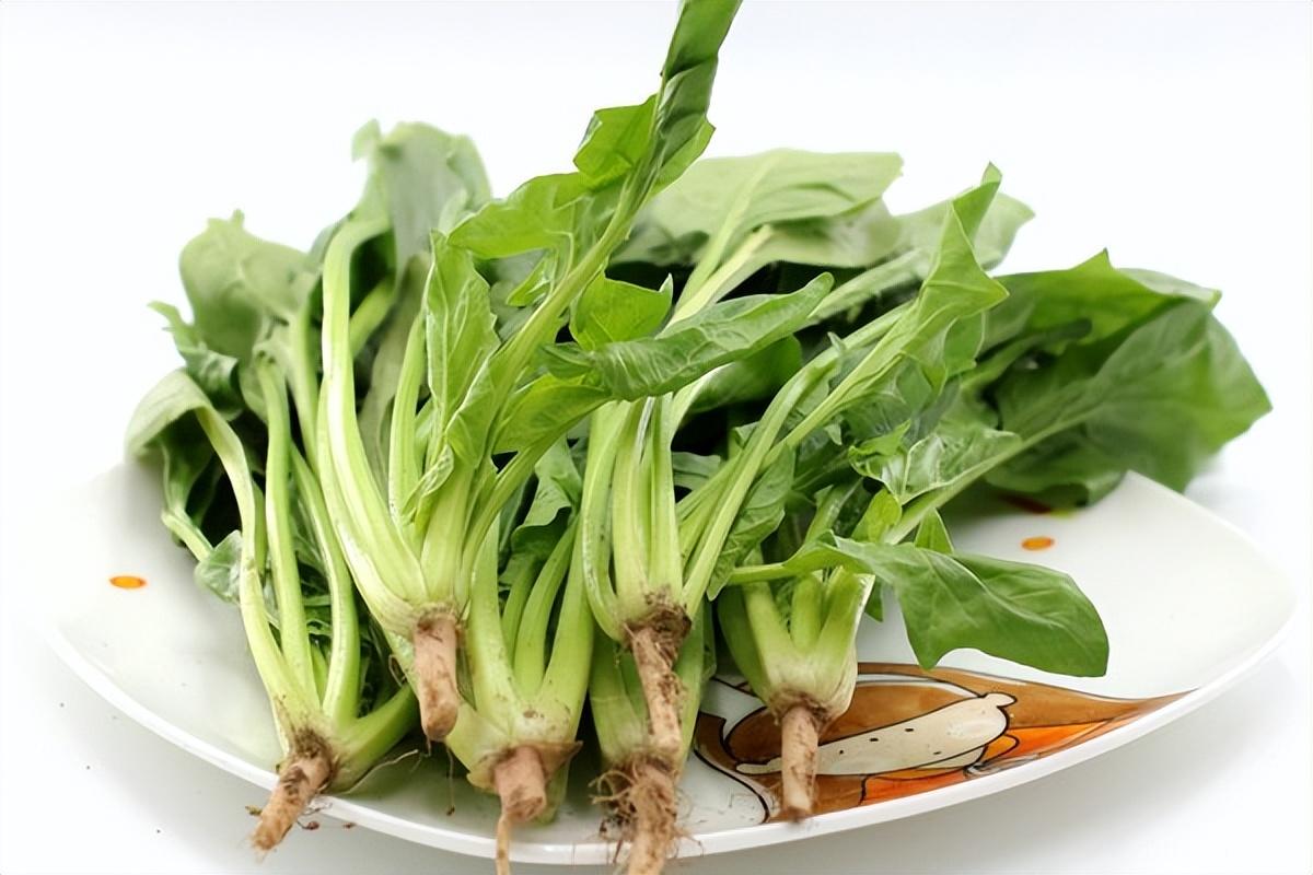 虾皮能补钙吗（补钙虾皮一天吃多少）-硒宝网