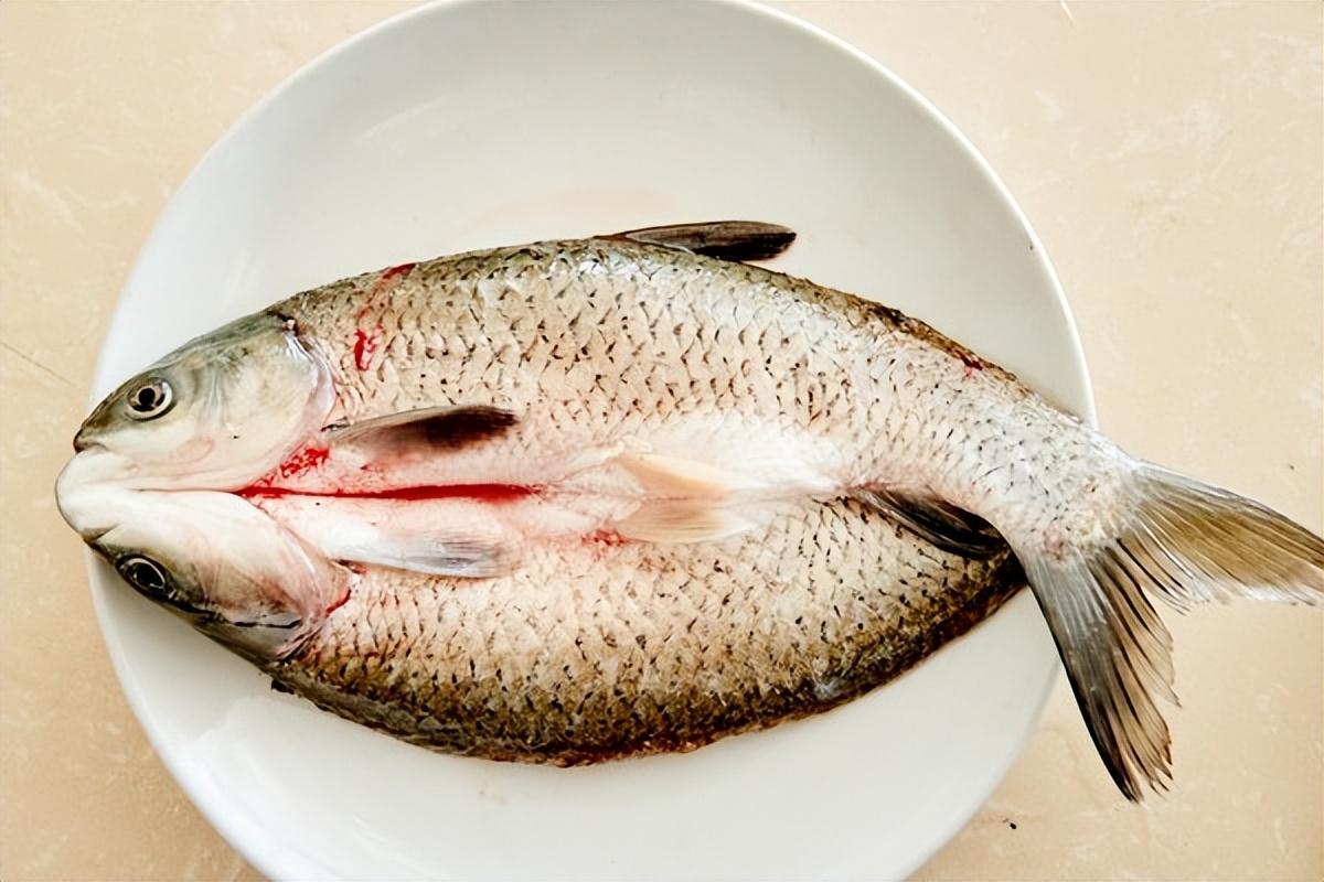 虾皮能补钙吗（补钙虾皮一天吃多少）-硒宝网