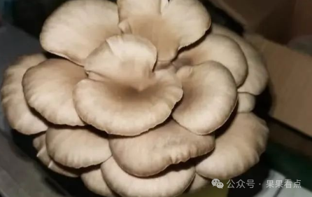 老年人补硒用什么好（硒对老年人的好处）-硒宝网