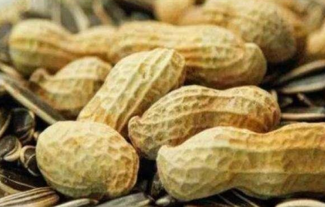 吃虾皮能补钙吗(补钙吃虾皮好吗)-硒宝网