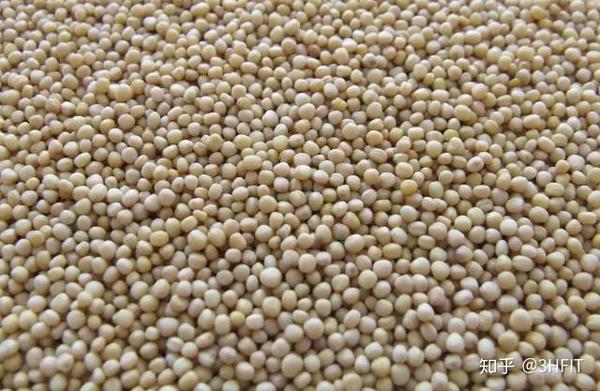 运动员为什么要补硒（运动员要补钙吗）-硒宝网