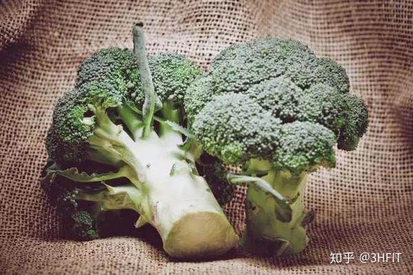 运动员为什么要补硒（运动员要补钙吗）-硒宝网