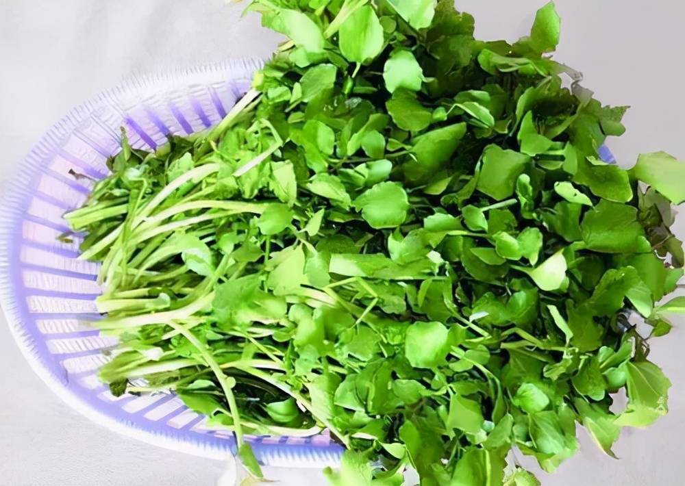 甲亢和甲减能补硒吗(能补甲亢硒甲减吗)-硒宝网