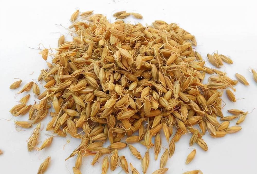 甲亢和甲减能补硒吗(能补甲亢硒甲减吗)-硒宝网