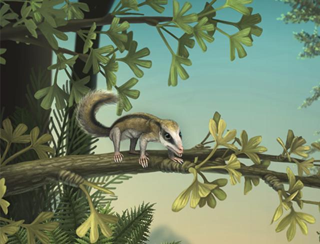 运动员为什么要补硒(运动员需要补什么)-硒宝网