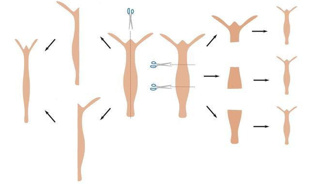 运动员为什么要补硒(运动员需要补什么)-硒宝网