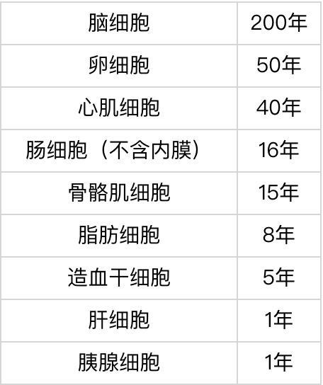 运动员为什么要补硒(运动员需要补什么)-硒宝网