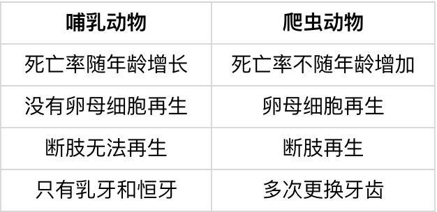 运动员为什么要补硒(运动员需要补什么)-硒宝网