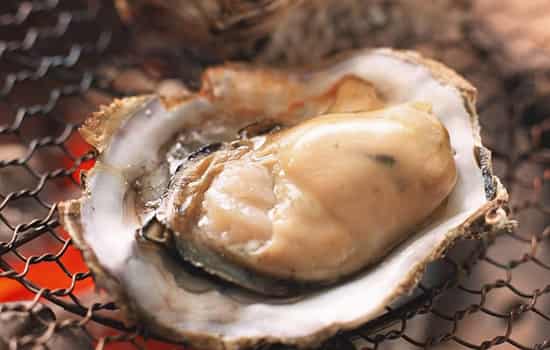 食物补锌（吃什么食物补锌）-硒宝网