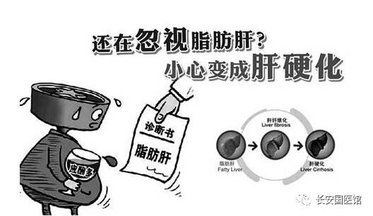 补硒能治疗脂肪肝吗(脂肪肝补硒可以吗)-硒宝网