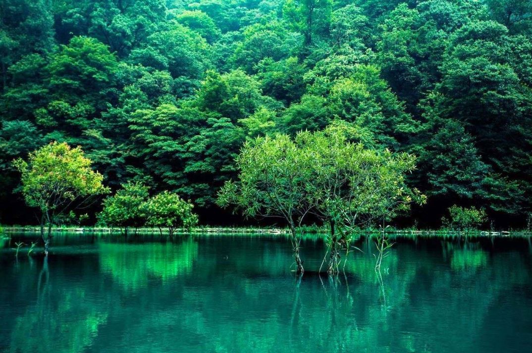 人每天补硒量1mg(每天补硒多少微克)-硒宝网