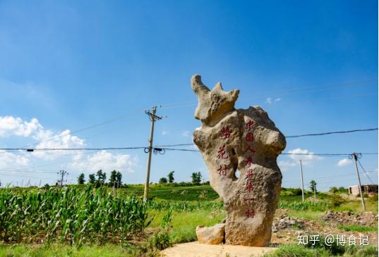 吃人参果补硒最快吗(人参果富硒吗)-硒宝网