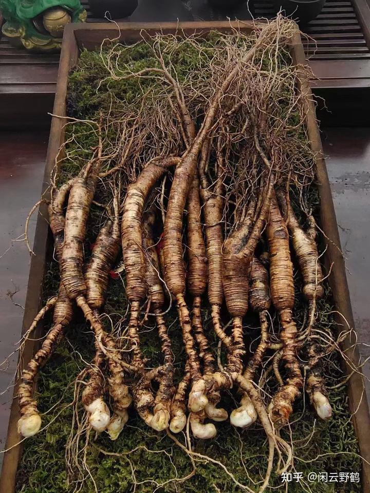 吃人参果补硒最快吗（人参果补锌吗）-硒宝网