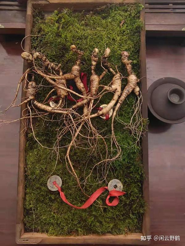 吃人参果补硒最快吗（人参果补锌吗）-硒宝网