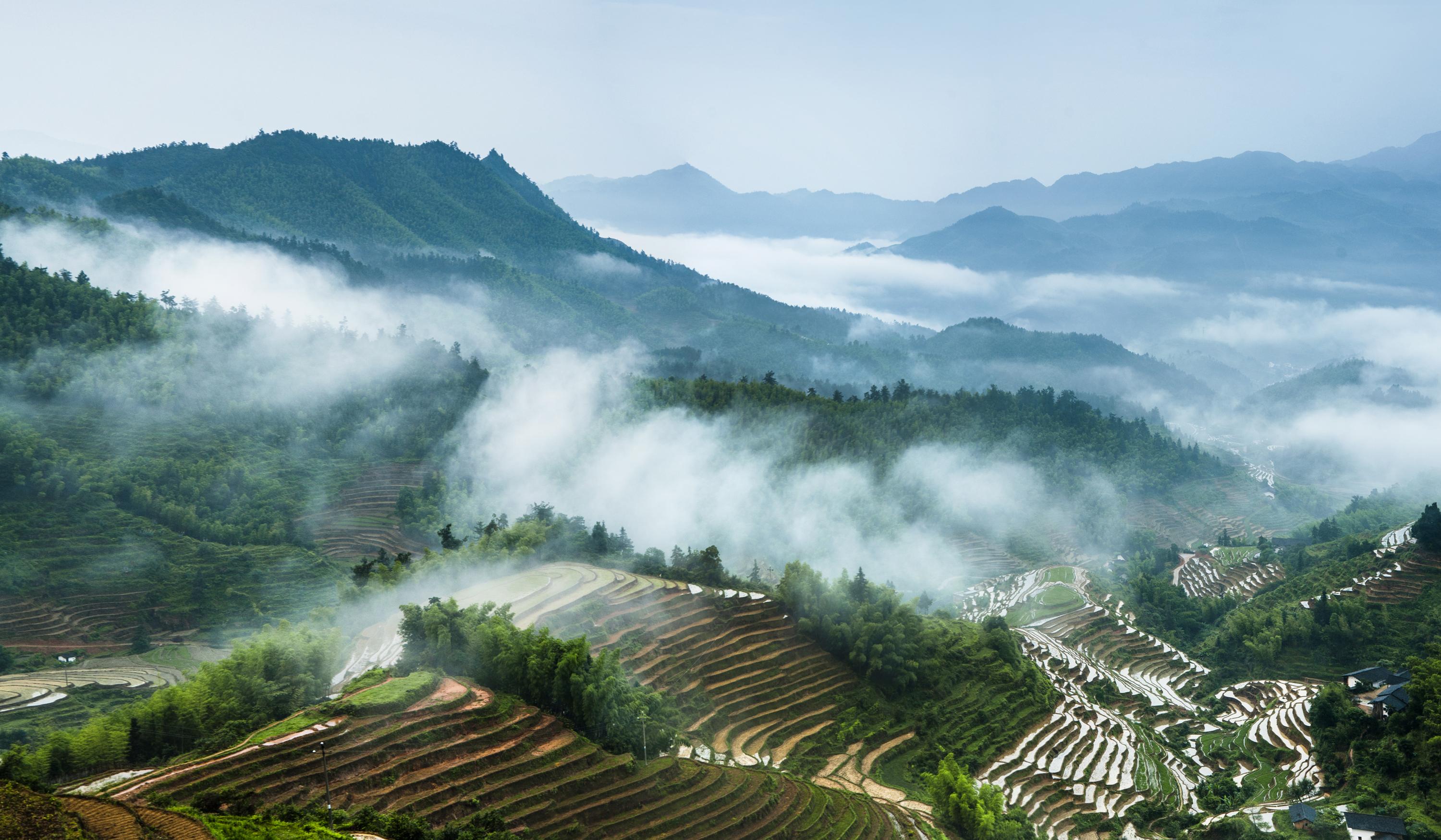 补硒可以生双胞胎吗(双胞胎补生硒可以长期吃吗)-硒宝网