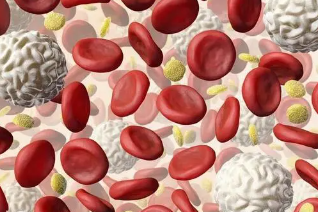 贫血补铁(贫血补铁和什么)-硒宝网