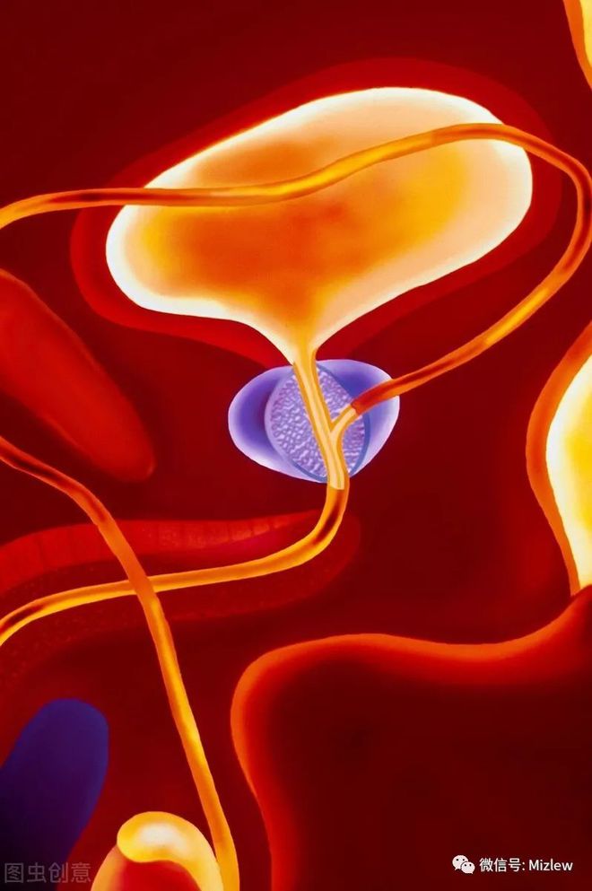 甲减补多少硒有用吗(补硒用甲减有效果吗)-硒宝网