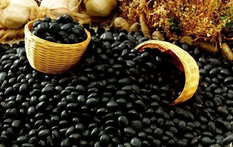 吃什么能补钙(能补钙吃什么)-硒宝网