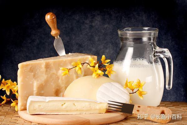 哪些食物能补钙(食物补钙好还是钙片补钙好)-硒宝网