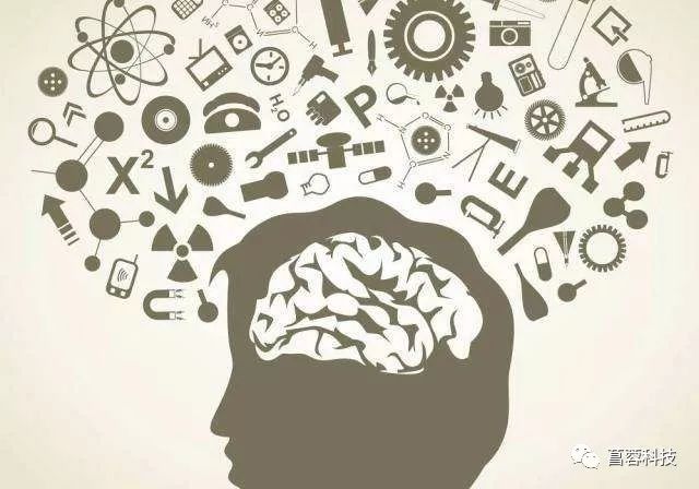 头发白缺什么微量元素（缺什么微量元素头发白）-硒宝网