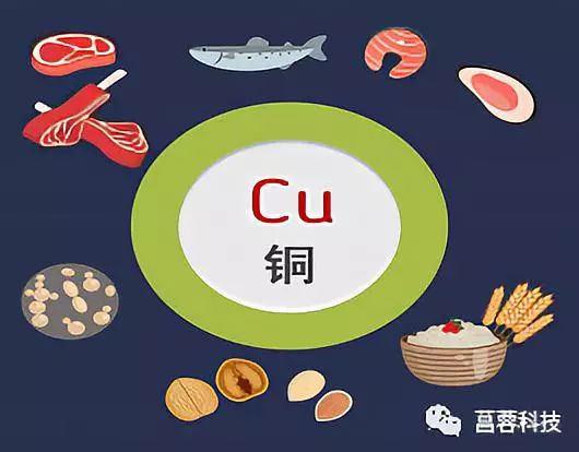 头发白缺什么微量元素（缺什么微量元素头发白）-硒宝网