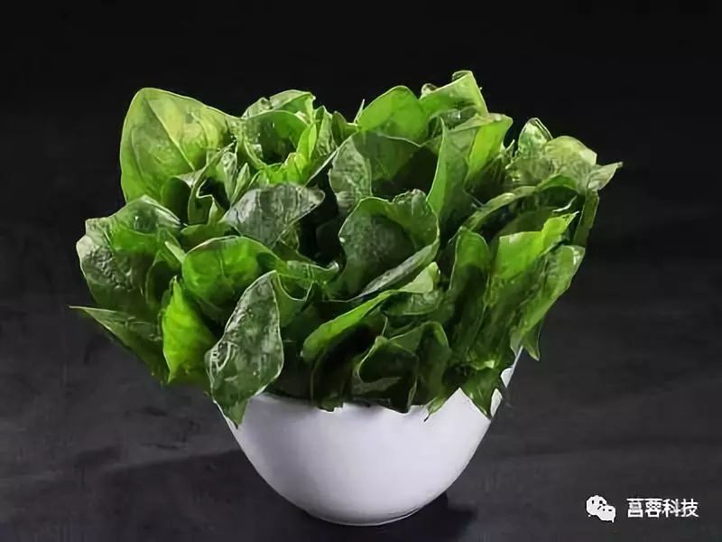 头发白缺什么微量元素（缺什么微量元素头发白）-硒宝网