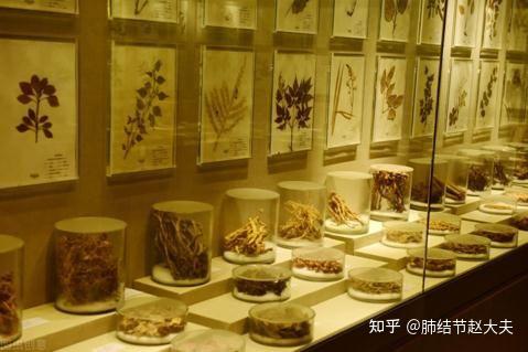 有肺结节补硒好不好（补硒对肺结节有好处吗）-硒宝网