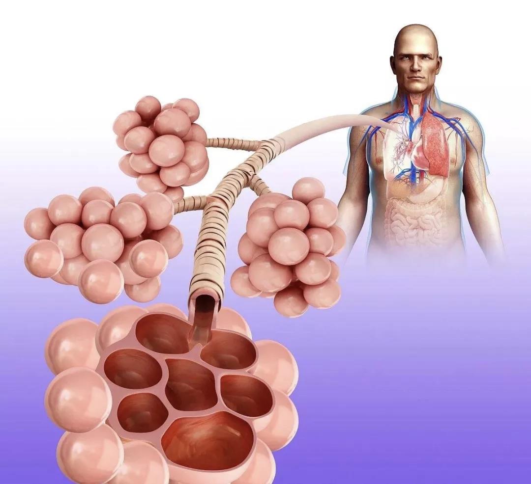 女生补硒分年龄段吗(女人应该从多大年龄开始补钙片)-硒宝网