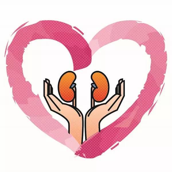 补硒对肾囊肿的作用(补硒对肾的作用)-硒宝网