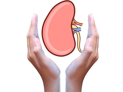 补硒对肾囊肿的作用(补硒对肾的作用)-硒宝网
