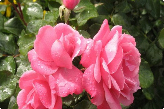 补钙时间（什么时候补钙最佳时间）-硒宝网