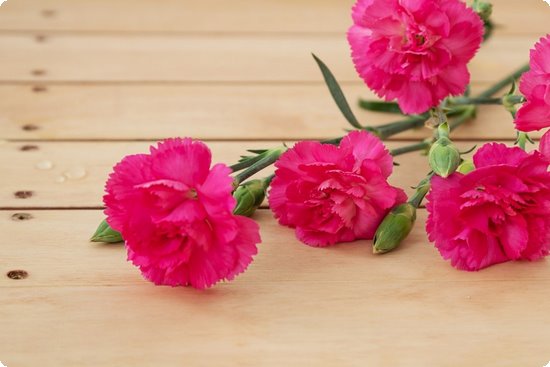 补钙时间（什么时候补钙最佳时间）-硒宝网