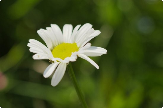 补钙时间（什么时候补钙最佳时间）-硒宝网